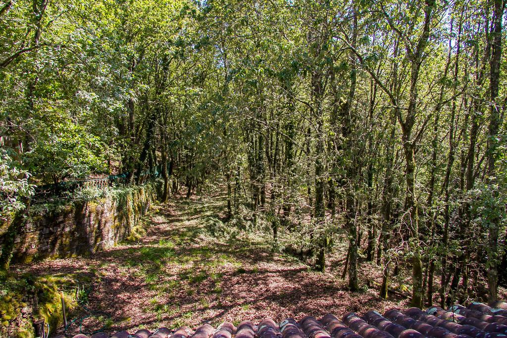 Liiiving In Caminha | Oak Tree Chill House Villa Buitenkant foto